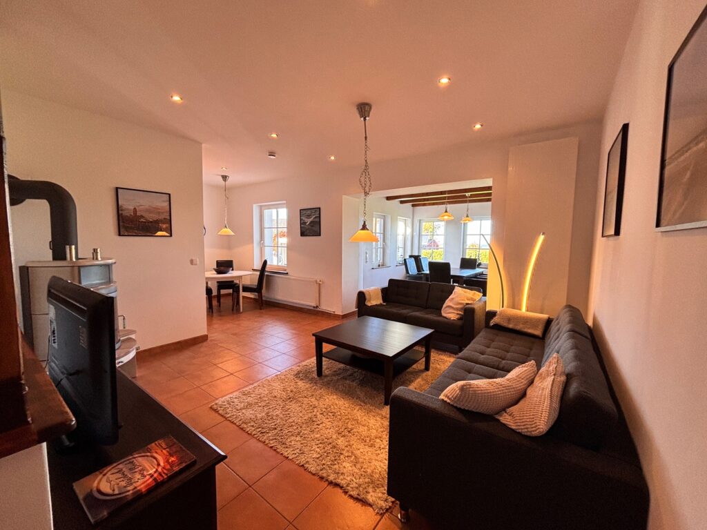 09 wohnbereich+kamin+fernseher