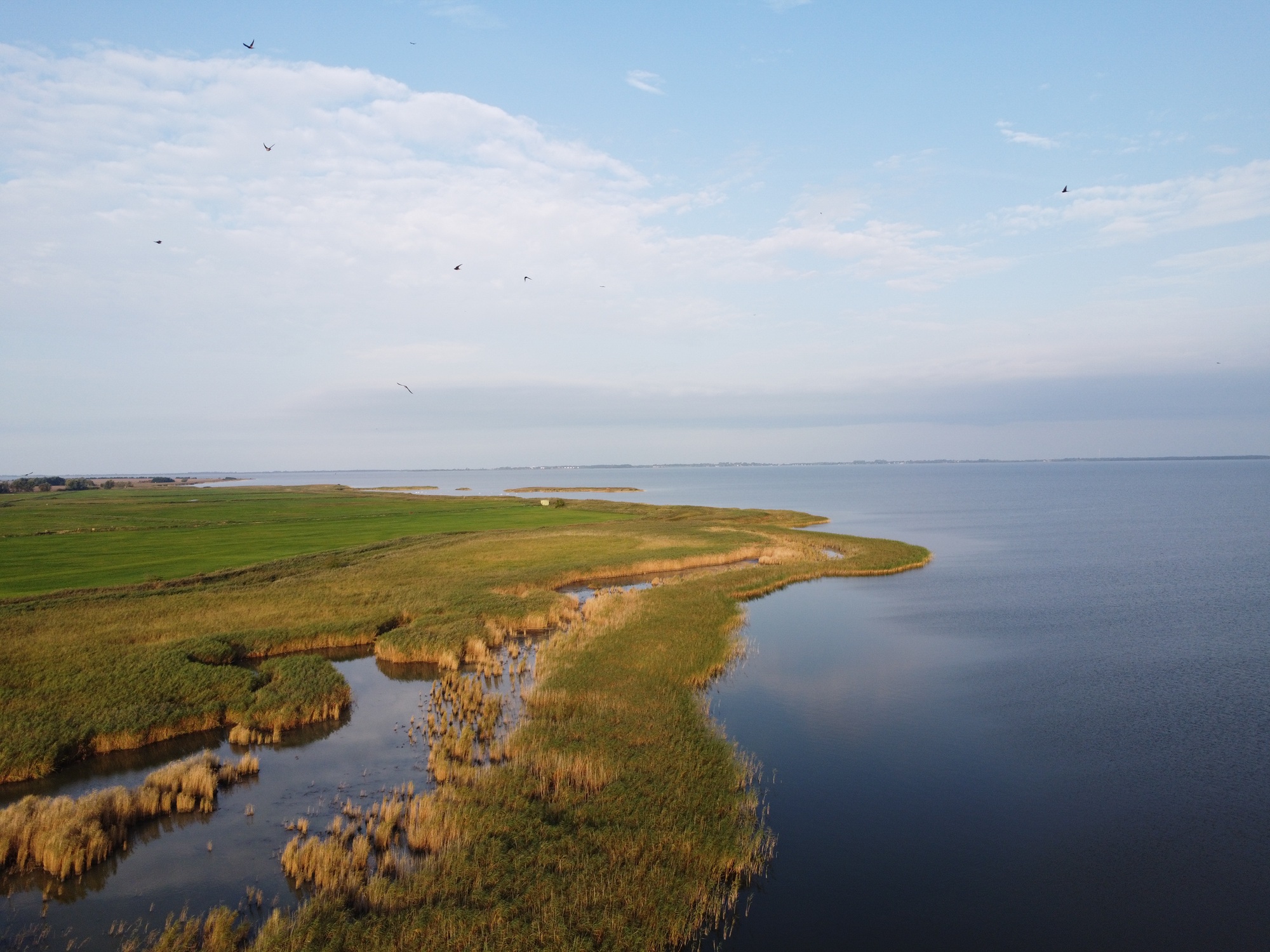 dcim100mediadji 0537.jpg