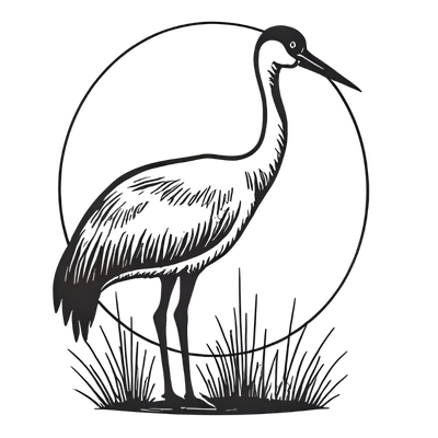 Kranichhaus-Boddenblick